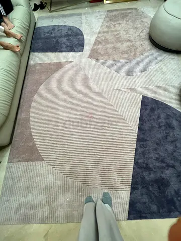 Brand NEW Elegant Modern Living Room Unique Rug