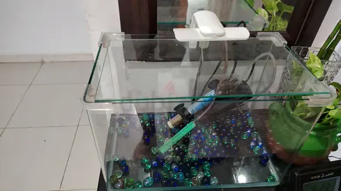 Complete Aquarium Setup with Accessories