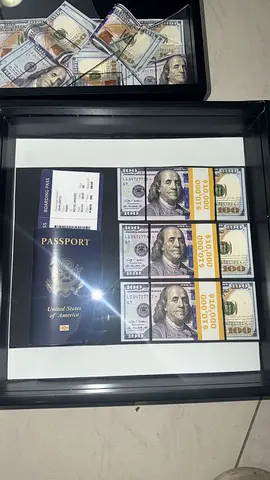 Limited Edition Currency Collection with Passport Holder