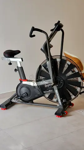 Schwinn Airdyne AD8 Air Bike