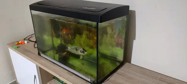 Aquarium
