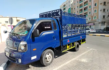 Mover House Shifting