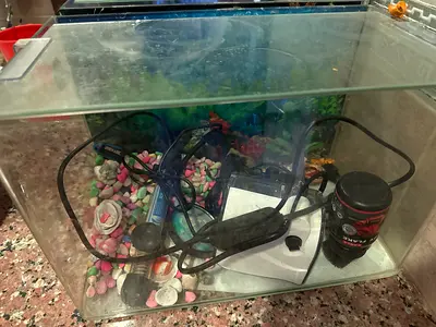 Aquarium Supplies for Sale