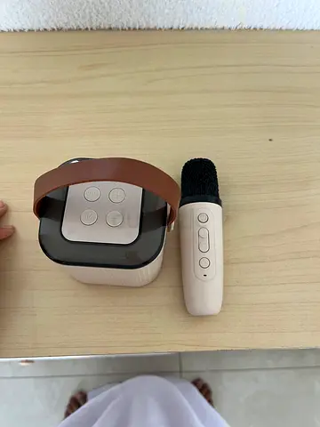 Portable Bluetooth Karaoke Speaker with Wireless Microphone