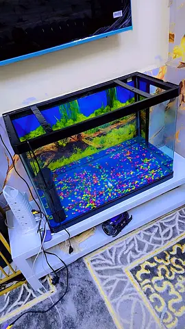 Fish aquarium big size