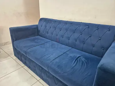 Elegant Blue Velvet Sofa for Sale