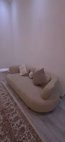 Stylish Modern Sofa with Cushions