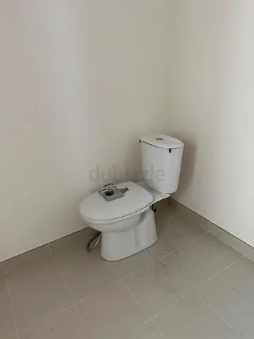 Brand new toilet seat