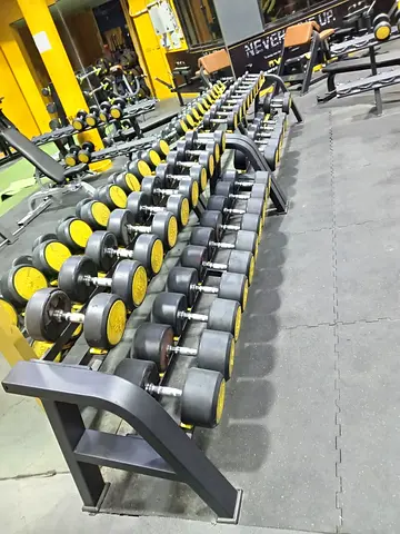High-Quality Dumbbell Set for Ultimate Workouts
