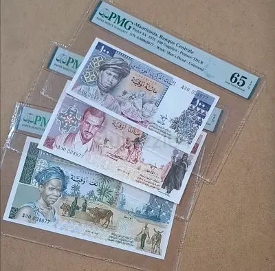 Amazing unissued set from Mauritania with same small number