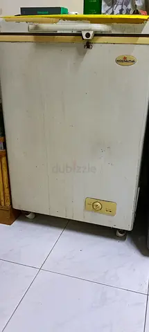 Fridge