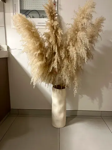 Large vase with pampas stems