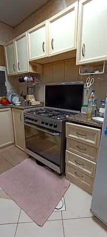 Reliable Gas Oven with Spacious Cooking Capacity