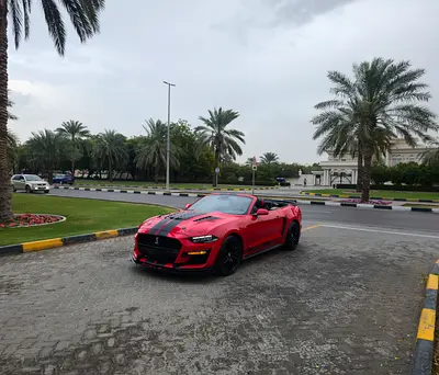 صورة 5 لـ 2023 FORD MUSTANG