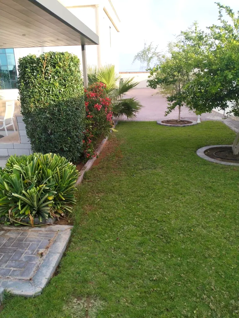 DPV_View_Image_6