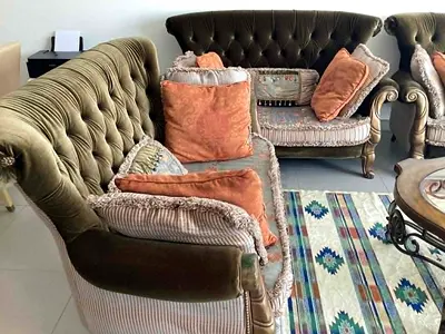 Elegant Vintage Sofa Set with Stylish Cushioning