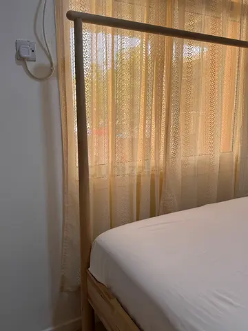 Elegant Canopy Bed with Soft Drapes