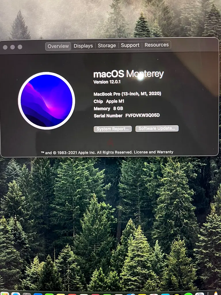 Apple MacBook Pro de 13 pulgadas65205527845123115