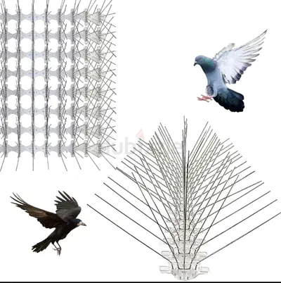 Birds spike available 5 spikes 50cm