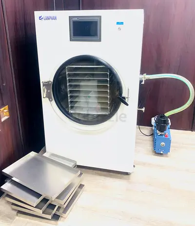High Efficiency HFD-8 Freeze Dryer for Home and Commercial Use
