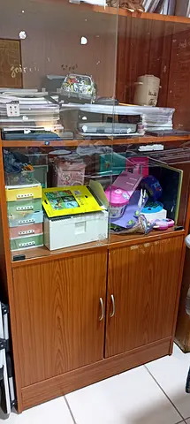 Sturdy Wooden Display Cabinet (Book Shelf)