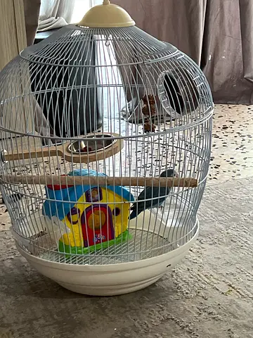 Stylish Bird Cage with Playstand and Colorful Toys