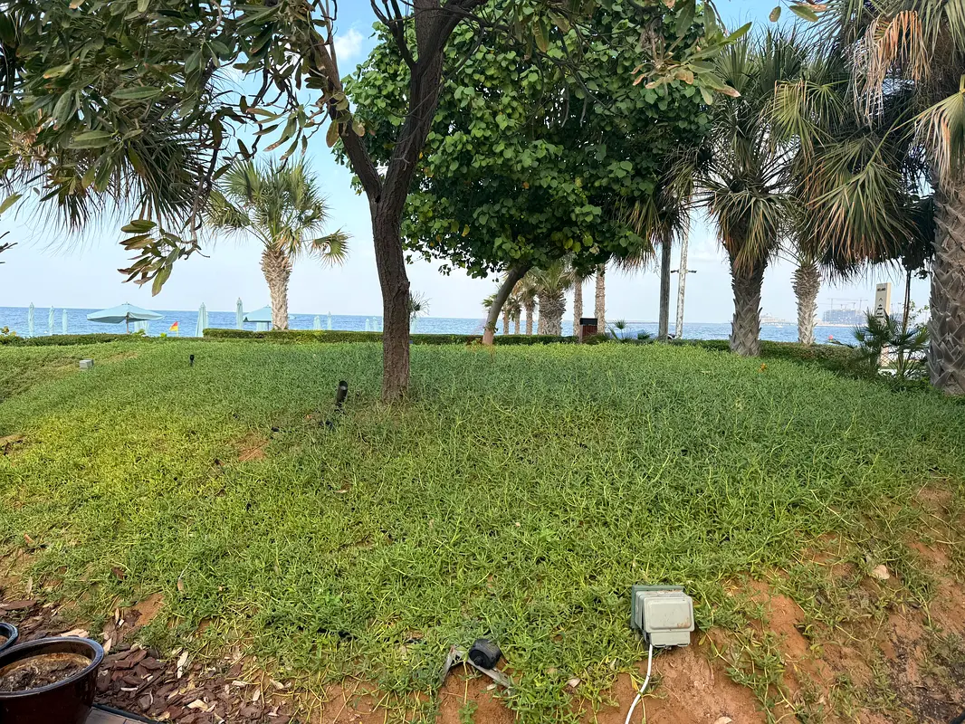DPV_View_Image_2