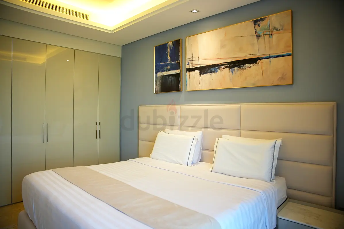 DPV_View_Image_4