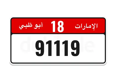 91119 code 18