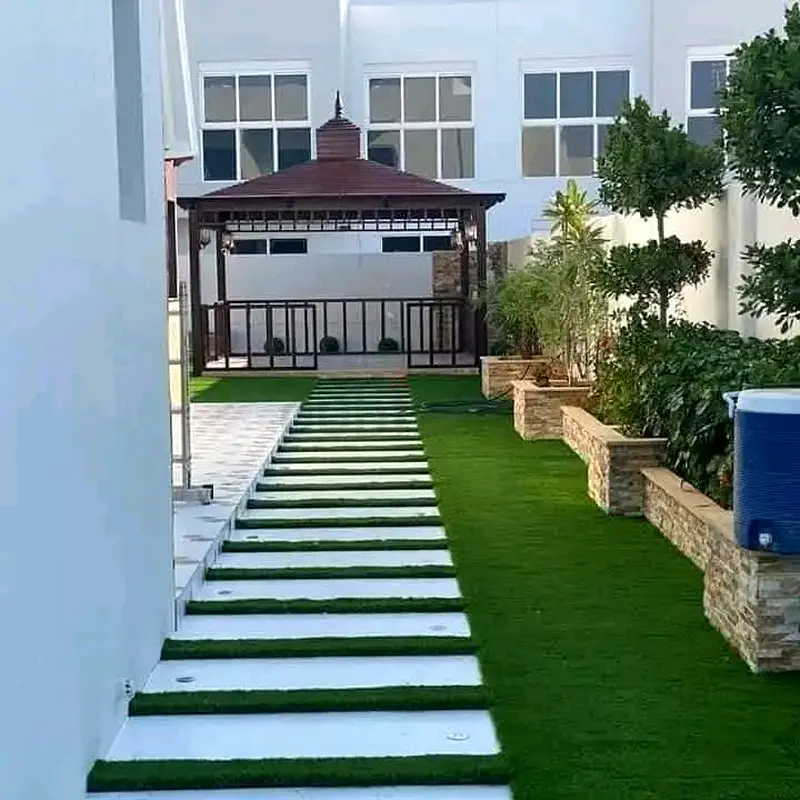 DPV_View_Image_2