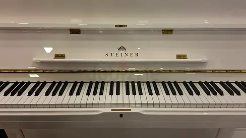Steiner HU121 upright piano for sale !