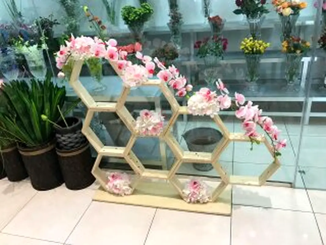 DPV_View_Image_0