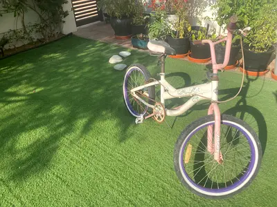 20 inch single speed Bicycle