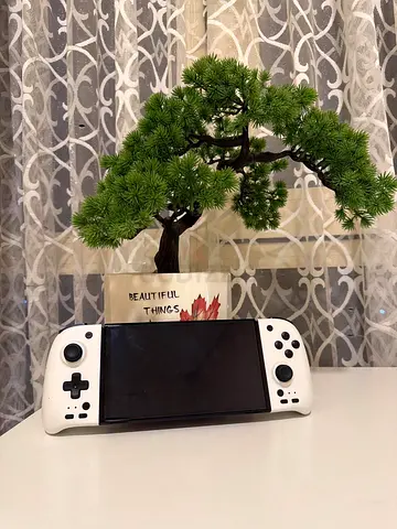 Nintendo Switch OLED | Used like New | Modchipped | Display ONLY