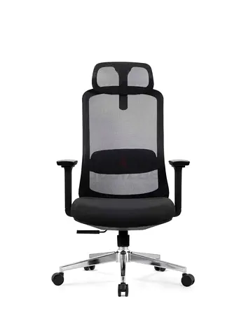 Comfortable Ergonomic Office Chair