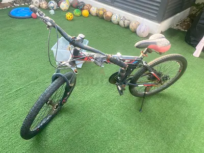 24 inch foldable Bicycle