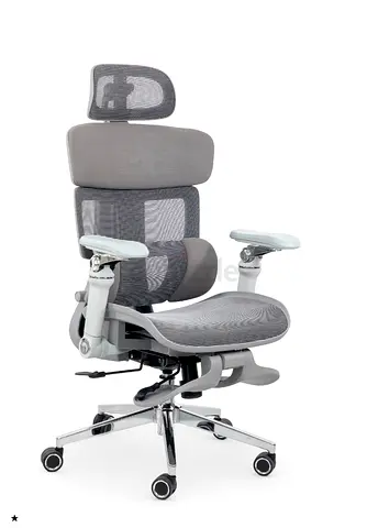 Ergonomic Office Chair with Adjustable Features