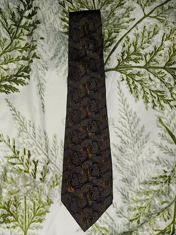 Valentino Elegant Paisley Tie