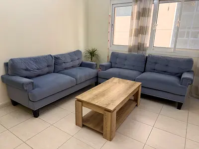 Comfortable Blue Sofas Set with Coffee Table