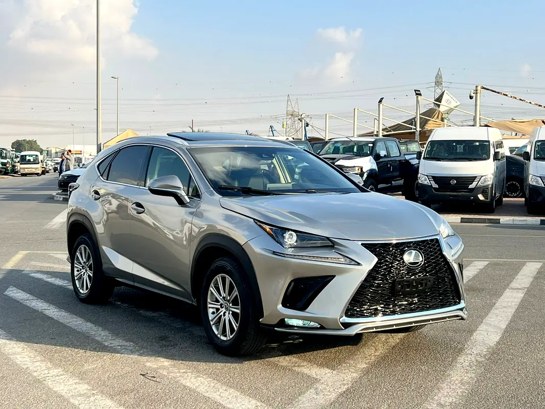 Lexus NX-Series 2020 — photo 1 of 20
