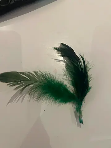 Colorful Feather extremely rare bird