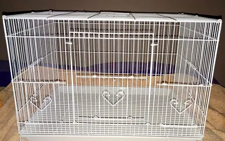 Spacious Bird Cage for Sale