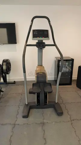 Technogym Stepper.