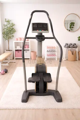 --Sale Technogym Stepper