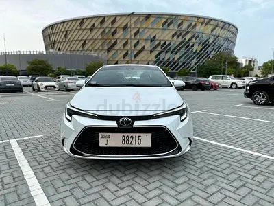 No Deposit Needed – Free delivery available for monthly rentals - Tabby available