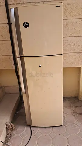 المشرف ابو ظبي
