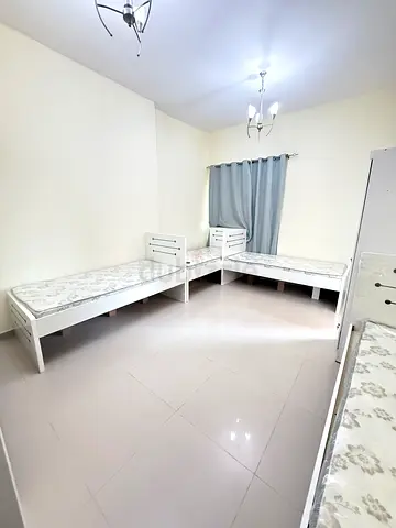 Brand New Executive Bedspace | Al Nahda 1 Dubai I