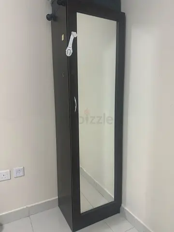 Elegant Full-Length Mirror Cabinet