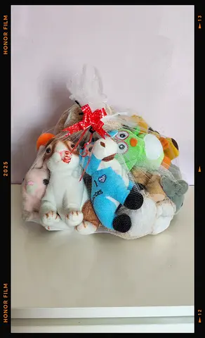 bundle of toys