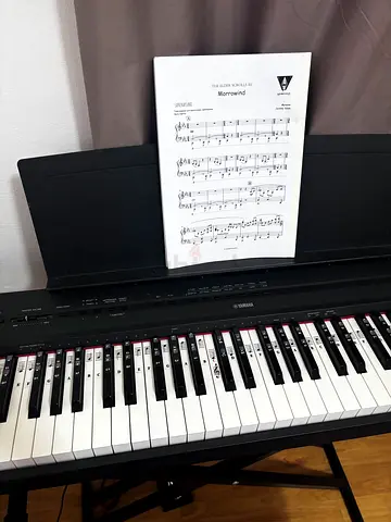Yamaha p-115 88-key digital piano